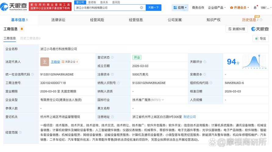为王皓俊,注册资本5000万美元,经营范围含软件外包服务